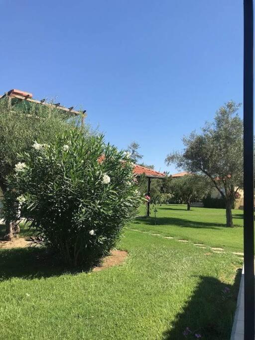 Phyllida Guest House - A2 Zaharo Dış mekan fotoğraf